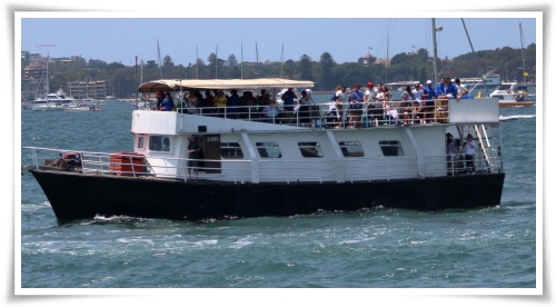 bucks boat cruise sydney
